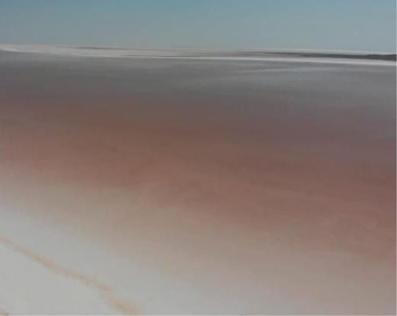 Tuzgölü Pembe Renke Büründü 
