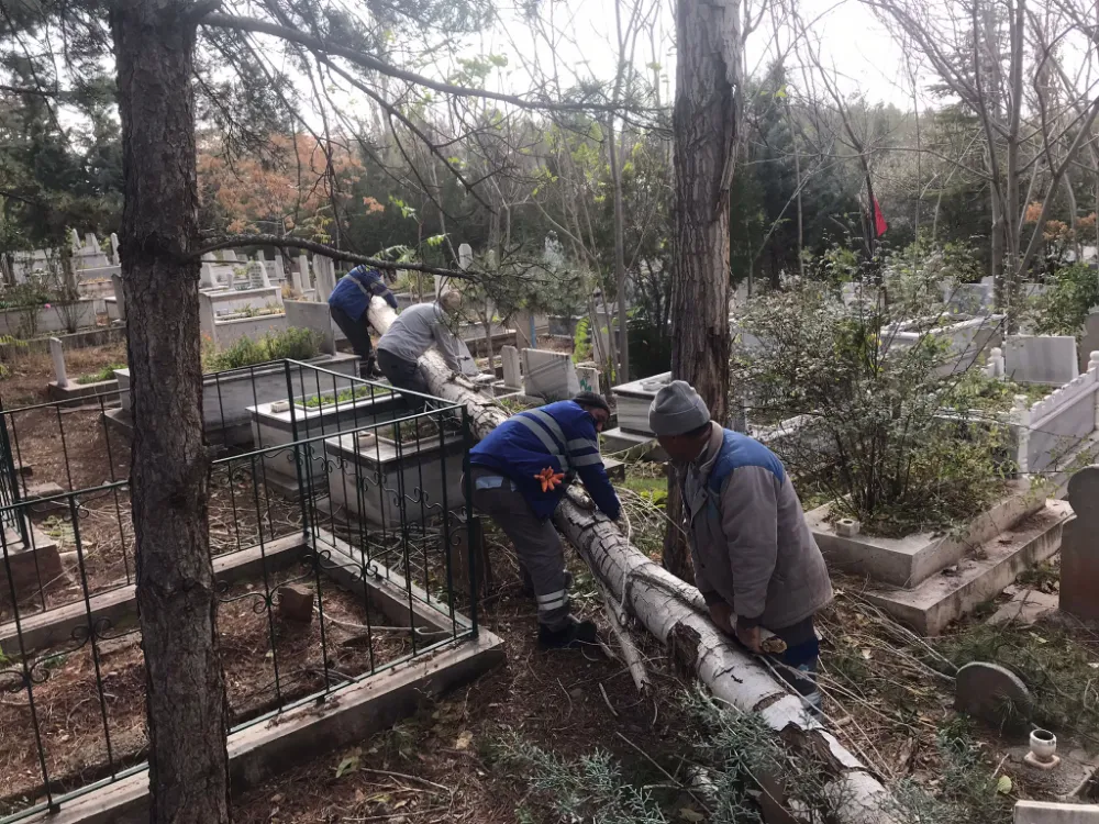 FIRTINA AKSARAYDA MİNARE YIKTI,AĞAÇLARI DEVİRDİ TABELALAR VE ÇATILARI UÇURDU!!!