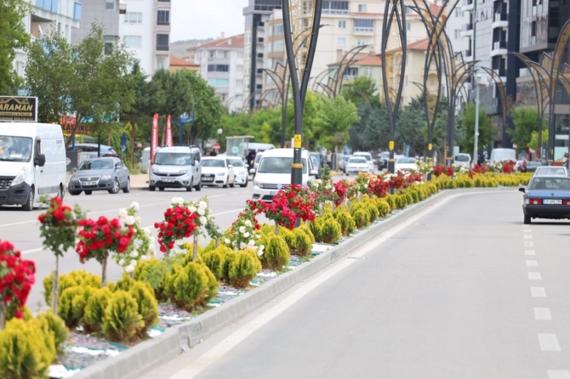 AKSARAY ÇİÇEK AÇTI