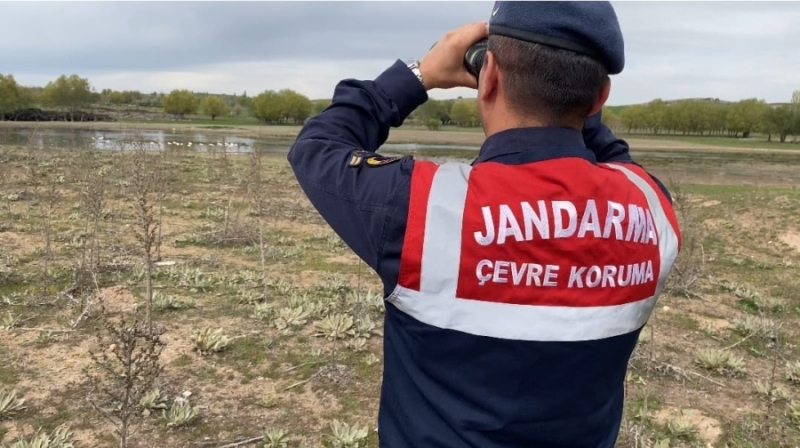 Yavrulama Sürecine Giren Flamingolar Aksaray Jandarmasının Gözetiminde