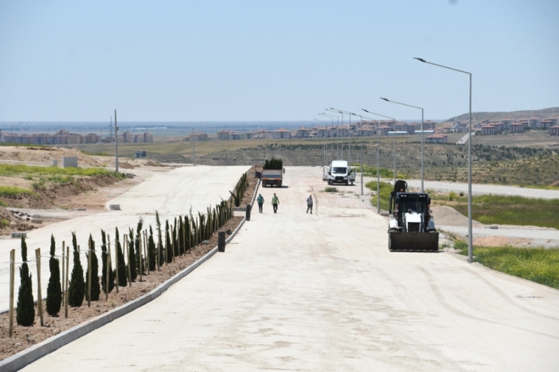 YENİ ŞEHİR MEZARLIĞI VE KÜLLİYESİNDE AĞAÇLANDIRMA VE PEYZAJ ÇALIŞMALARI BAŞLADI