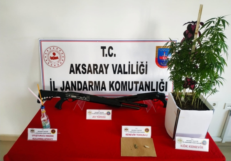 Aksaray da yasa dışı kenevir ekimi yapan bir kişi yakalandı 