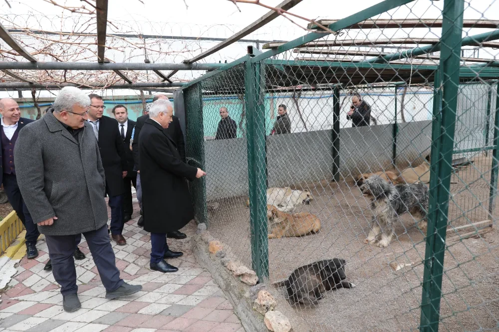 Kumbuzoğlu sahipsiz hayvanlarla ilgili ne gerekiyorsa yapılacak dedi 