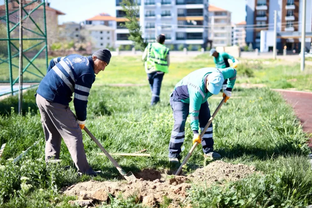 MİLLET BAHÇELERİ VE PARKLAR YAZA HAZIRLANIYOR  