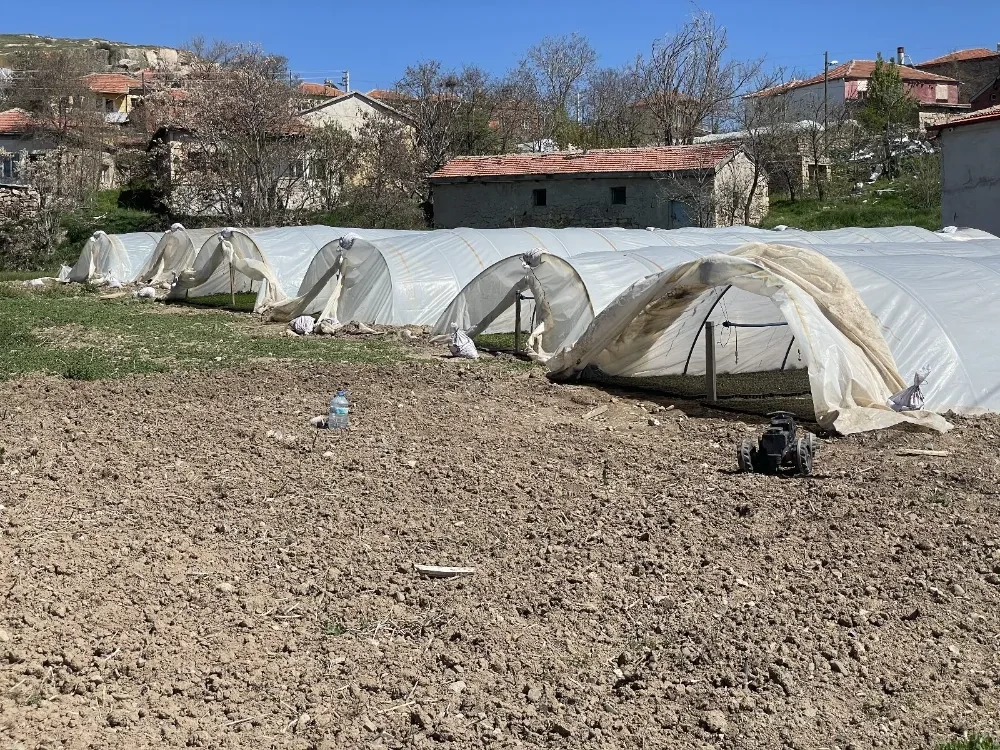 Aksaray da ekmeğini seracılıkla kazanan emektarlar