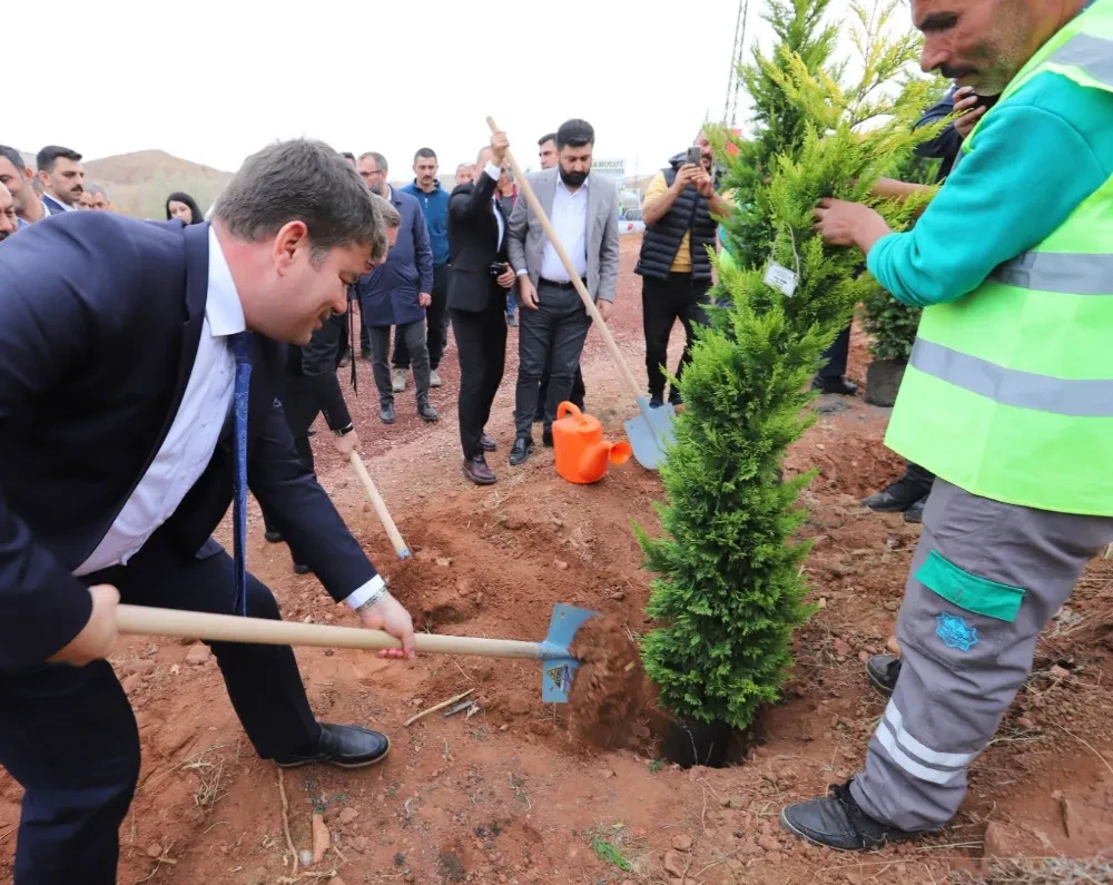 AĞAÇLANDIRMA ÇALIŞMALARI KALDIĞI YERDEN DEVAM EDİYOR