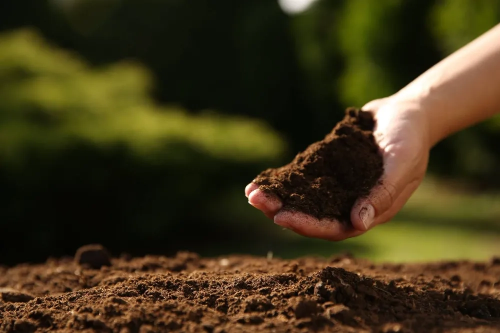 TEMA Vakfı’ndan Dünya Toprak Günü Uyarısı: “Toprağı Kaybetmek, Hayatı Kaybetmektir”