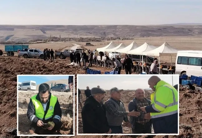 AĞAÇÖREN OYMAAĞAÇ KÖYÜNDE 50 BİN FİDAN TOPRAKLA BULUŞTU