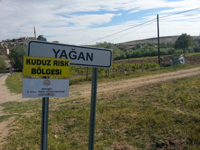 Aksaray Merkez`e bağlı Yağan köyünde kuduz paniği