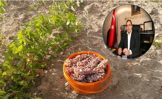 Aksaray`da Bağ Bozumu Telaşı Başladı