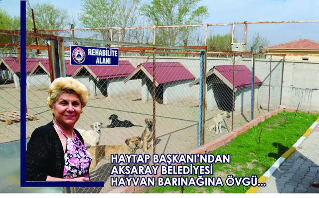 HAYTAP Başkanı`ndan Yazgı`ya teşekkür