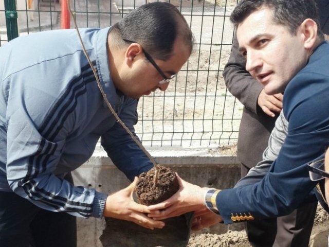 Müteahhitler okul bahçesine fidan dikti